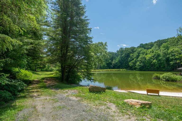 Trails around the lake...