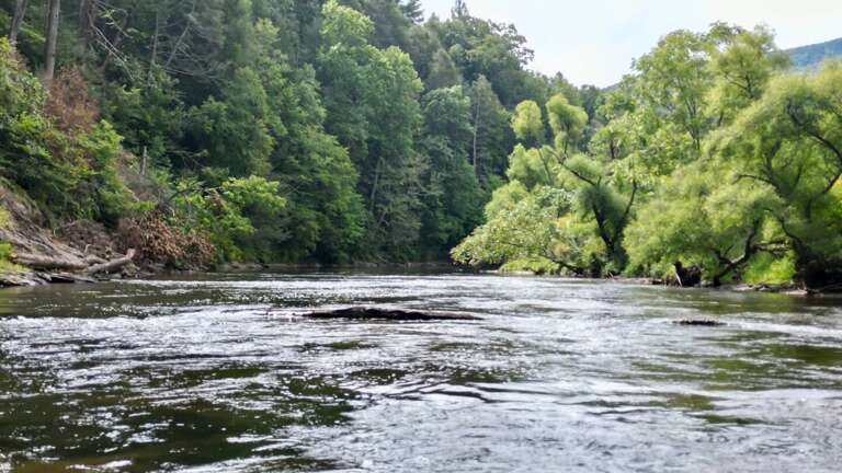 A top NC Trout Stream...