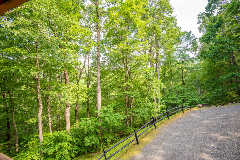 Well taken care of driveway... Well taken care of driveway...