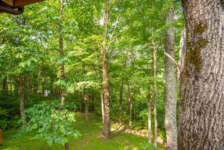 Wooded privacy... Wooded privacy...