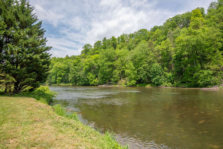 Such easy access into the river...