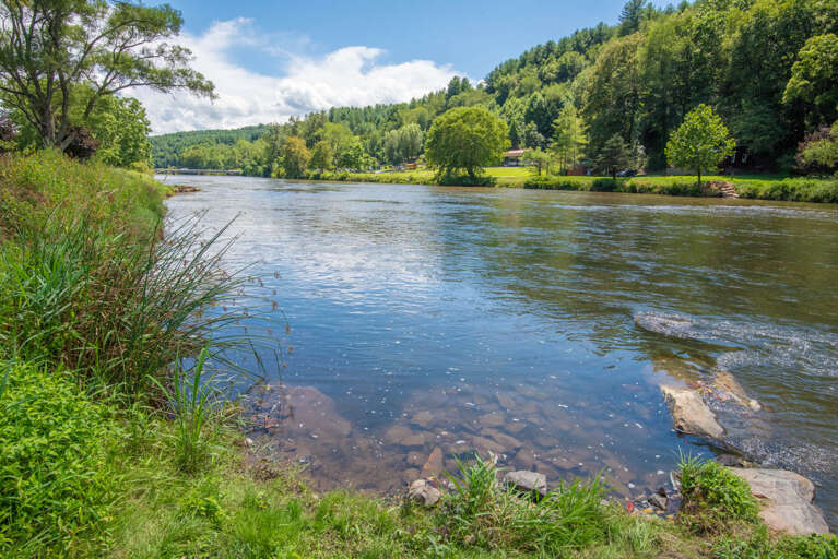 Fish from your own property...