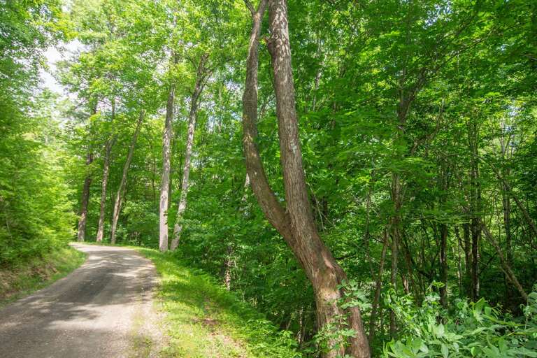 Private driveway in...