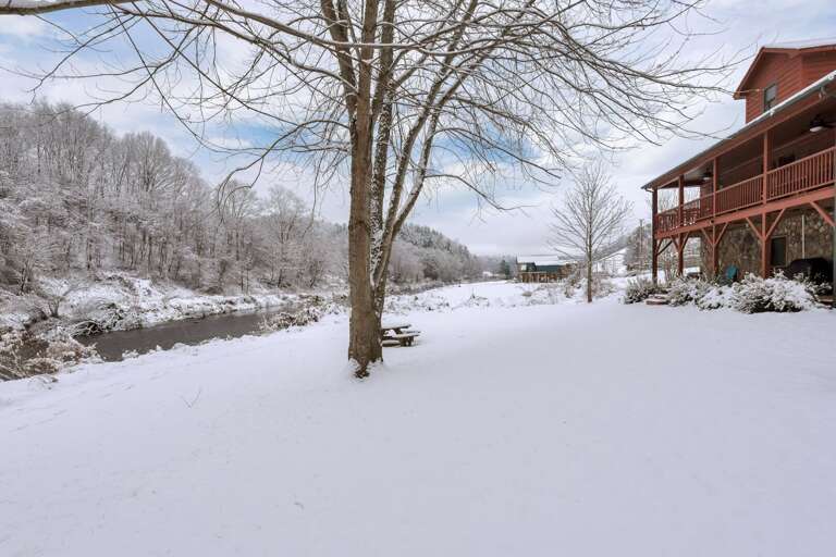 The Pour House - Todd