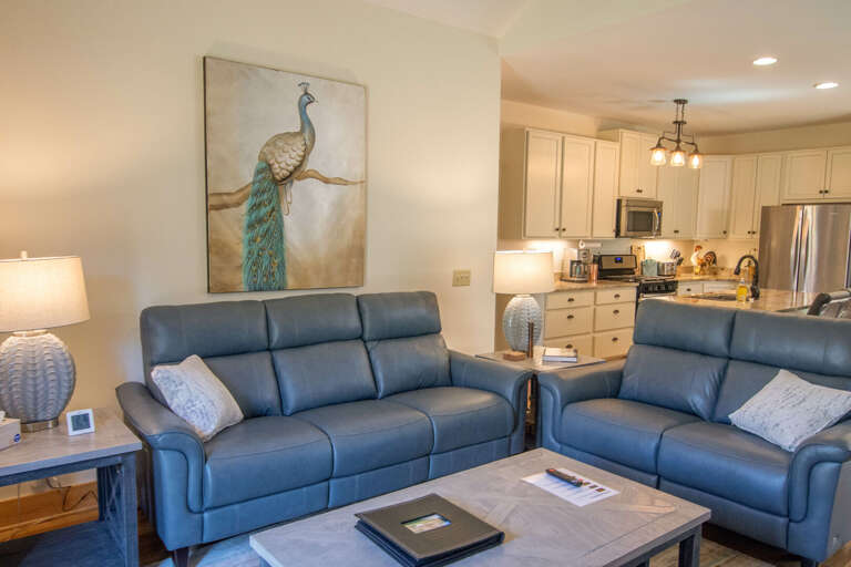 Luxury leather couches...