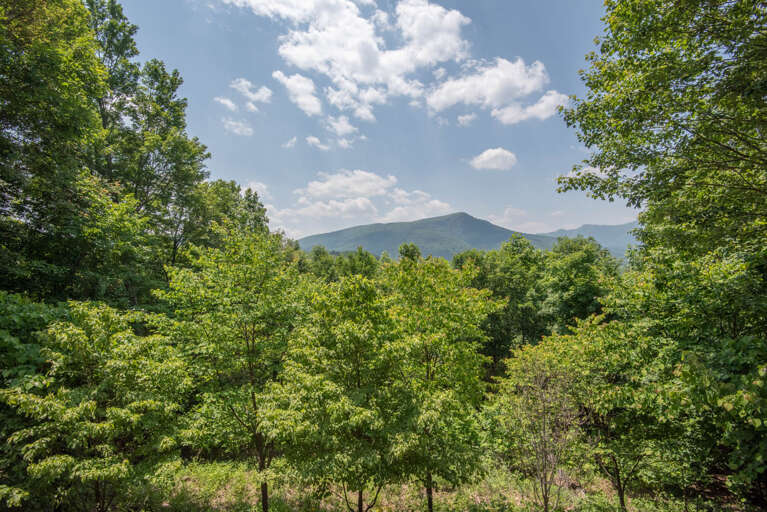 Beautiful grounds perfect for 
hiking...