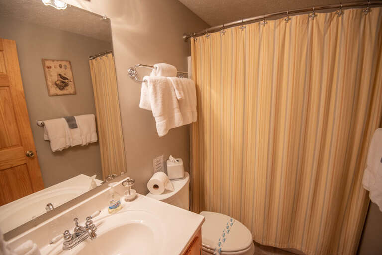 Full bath with tub/shower combo...