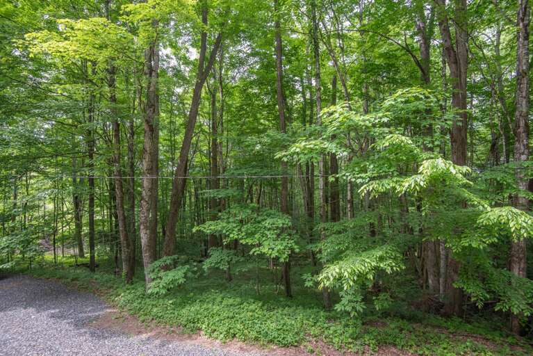 Acres of nature surrounding your cabin in the woods... Acres of nature surrounding your cabin in the woods...
