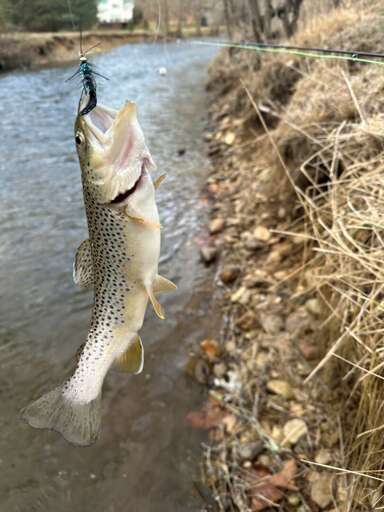 State-stocked stream...