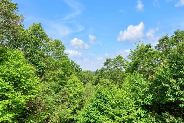 Privacy and Nature surrounds you...