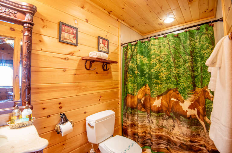 Full bathroom en suite...