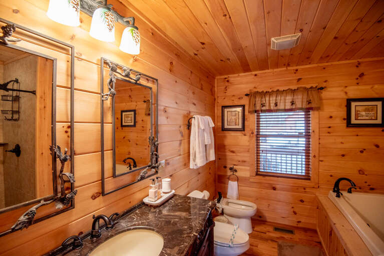 Full en suite bathroom with bidet...