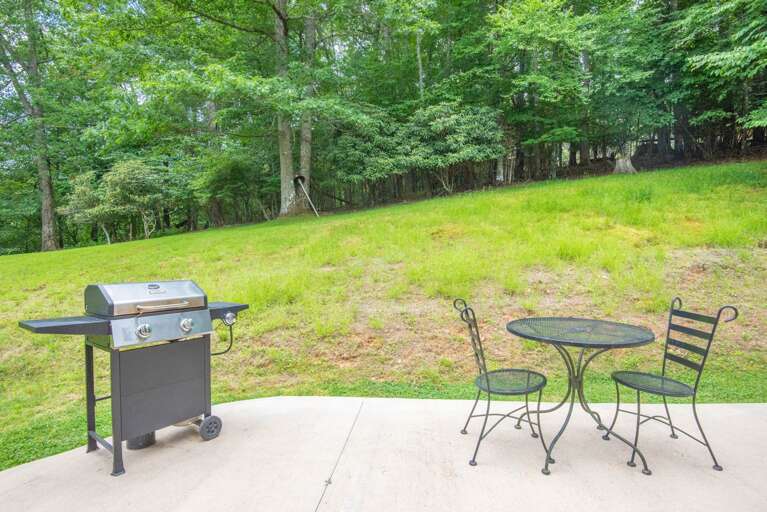 Gas grill (propane provided) ...