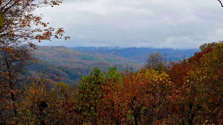 Autumn Foliage Fills Forest Landscape, Clouds Cloak Distant Hills