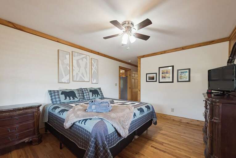 Find Rentals