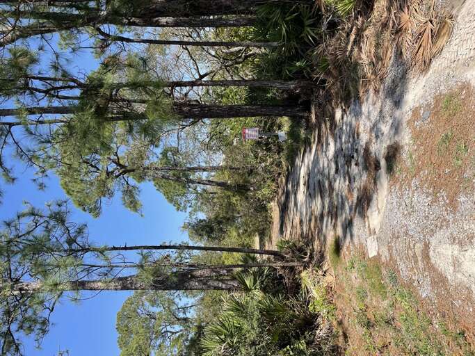 Cabana Fishing Pier Access