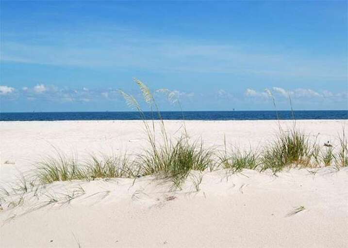 Gulf Shores Home Rental
