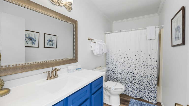 Find Rentals