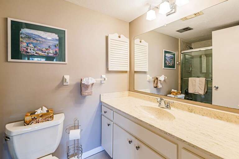 Guest Bath Guest Bath