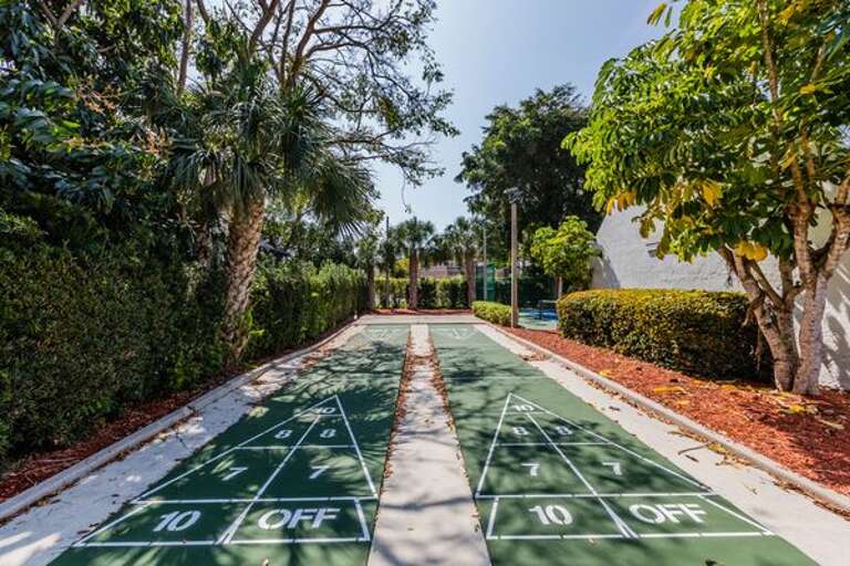 Shuffleboard Shuffleboard