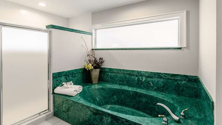 Master bathroom soaking tub and walk in shower