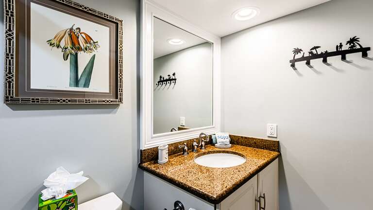 Guest bathroom