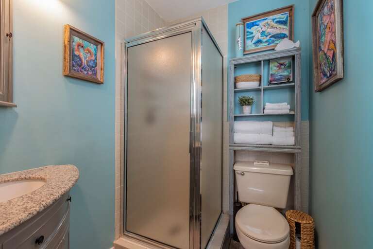 Guest Bedroom Bath Guest Bedroom Bath