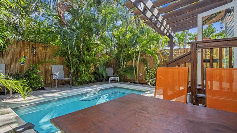 Backyard / Pool Area