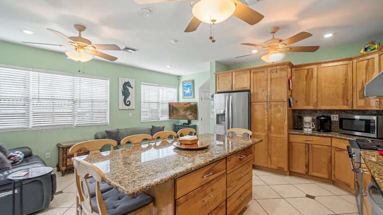 Living / Kitchen Area