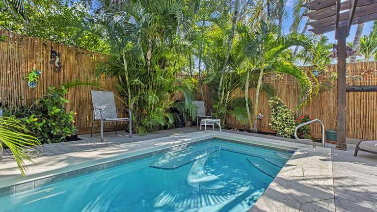 Backyard / Pool Area